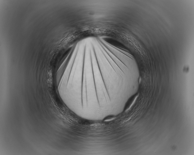 X0000094810700200712141622