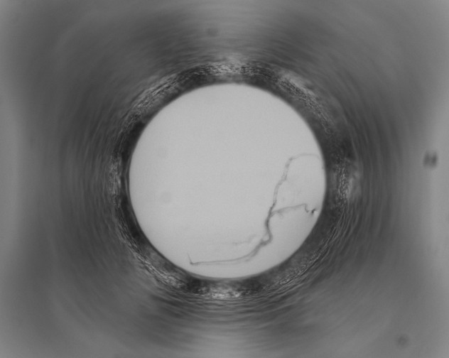 X0000094810702200712141622