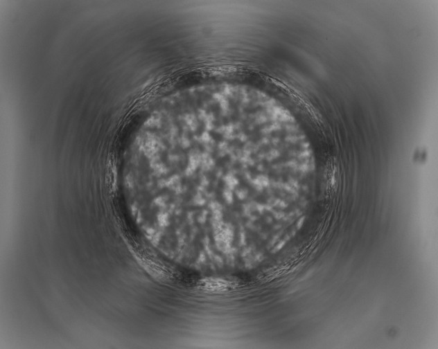 X0000094810703200712141622