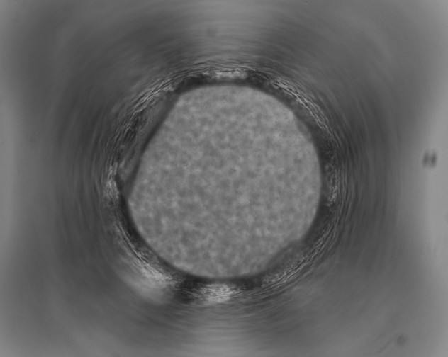 X0000094810704200712141622