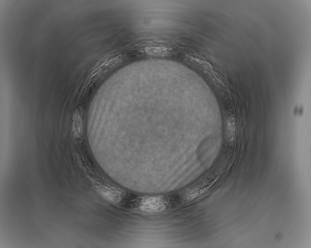 X0000094810705200712141622