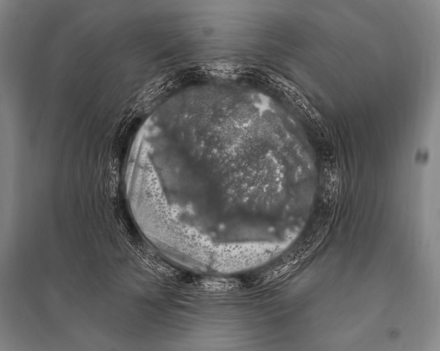 X0000094810707200712141622