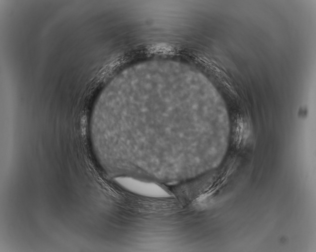 X0000094810708200712141622