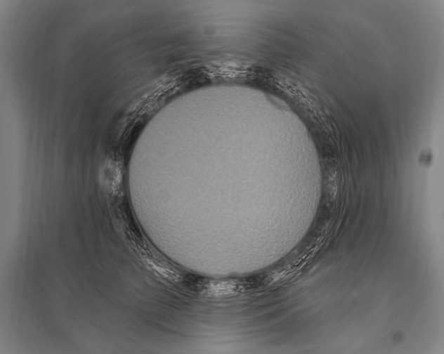 X0000094810709200712141622