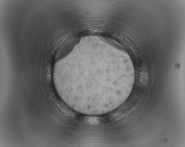 X0000094810710200712141622