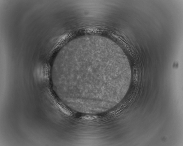 X0000094810712200712141622