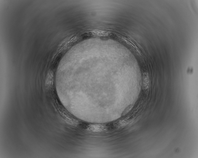 X0000094810713200712141622