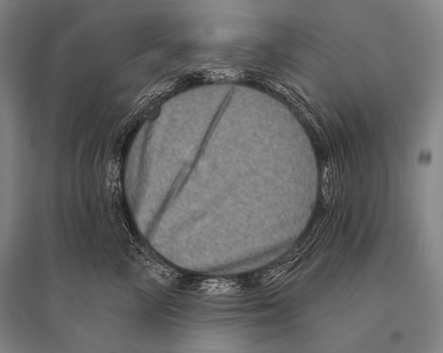 X0000094810714200712141622