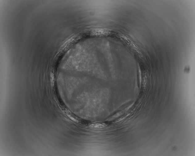 X0000094810716200712141622