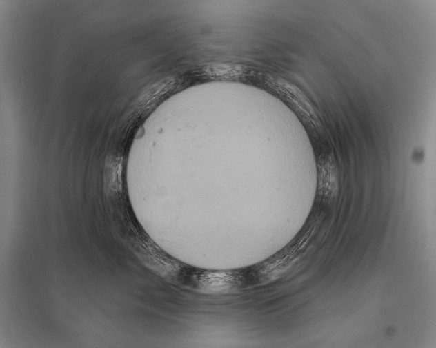 X0000094810717200712141622