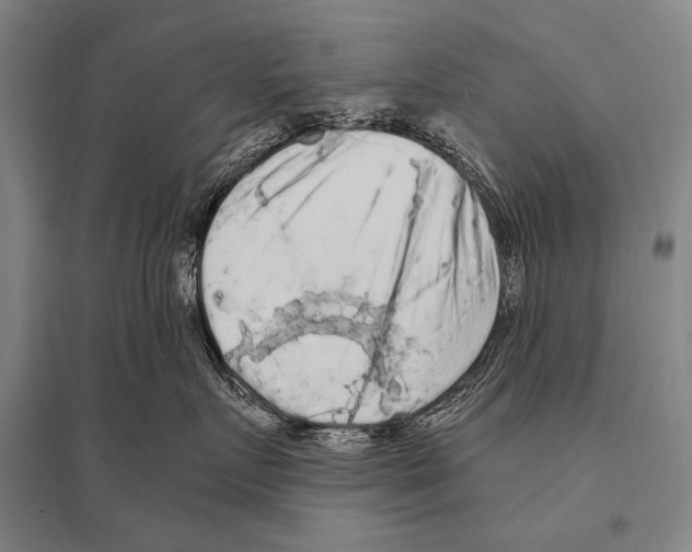 X0000094810719200712141622