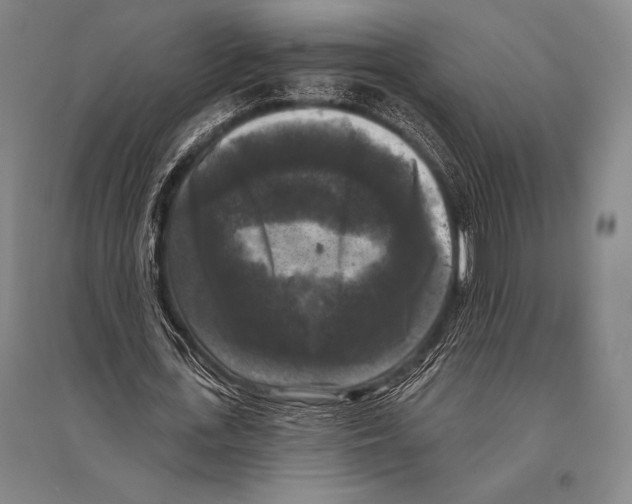 X0000094810723200712141621