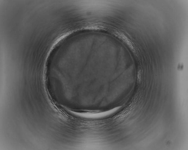 X0000094810724200712141621