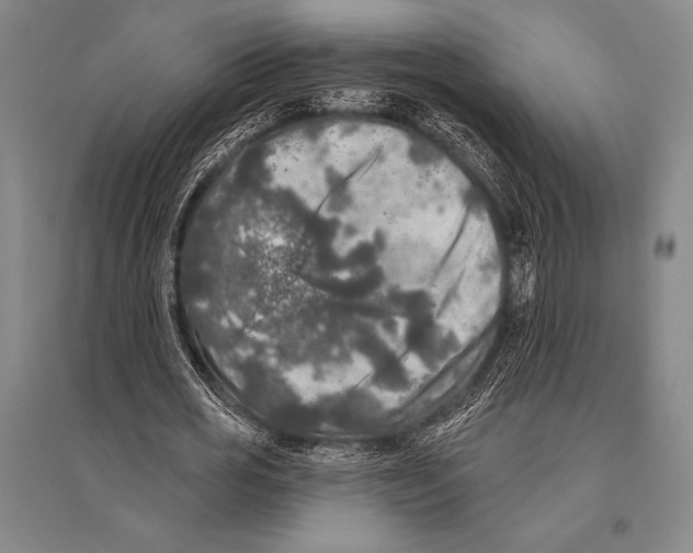 X0000094810725200712141621