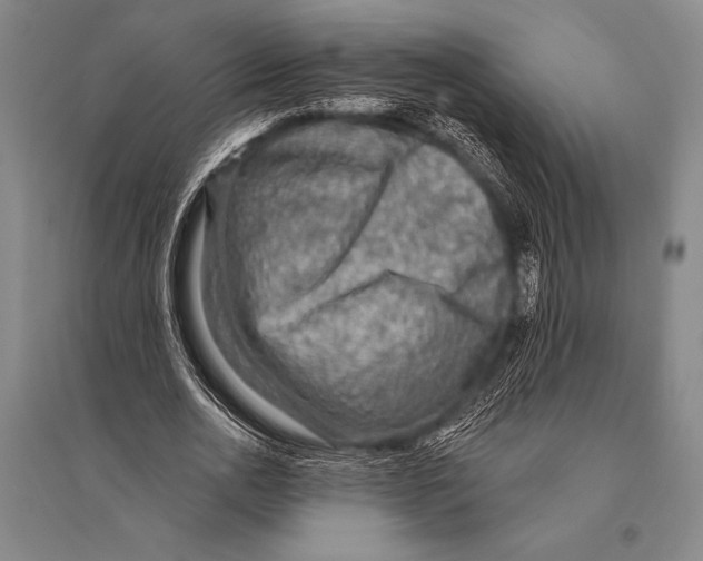 X0000094810726200712141621