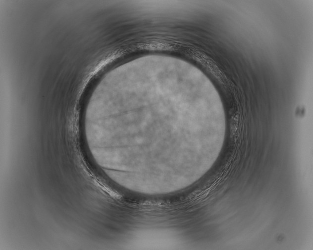 X0000094810727200712141621