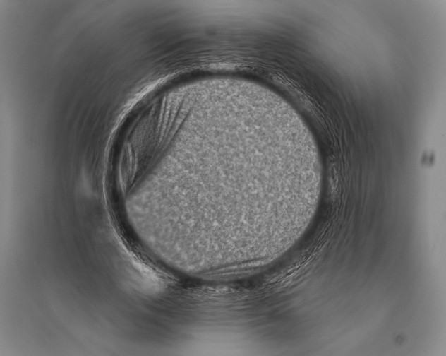 X0000094810728200712141621