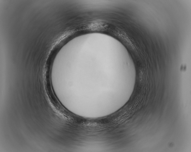 X0000094810730200712141621