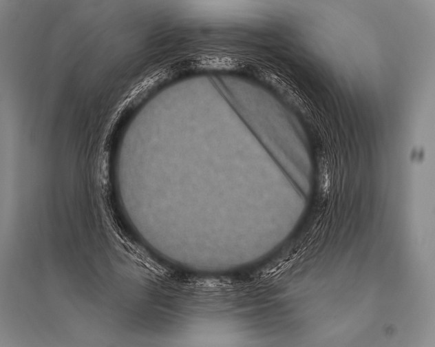 X0000094810731200712141621