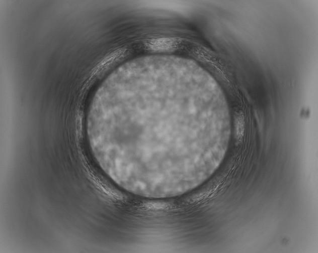 X0000094810733200712141621