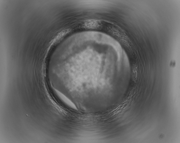 X0000094810734200712141621