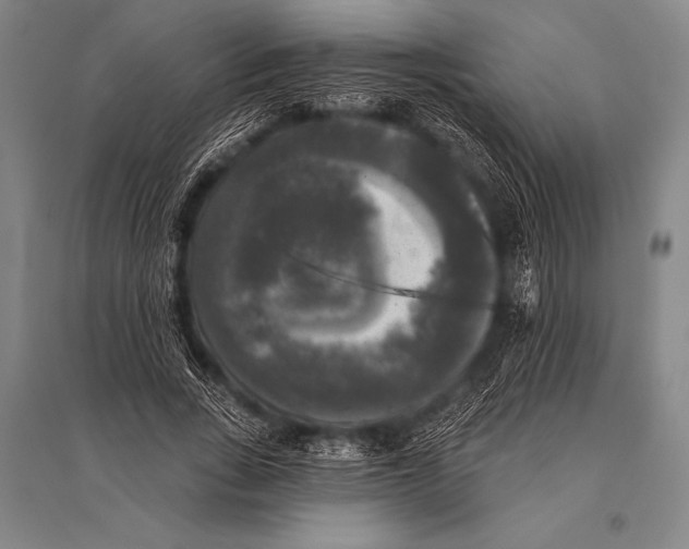 X0000094810735200712141621