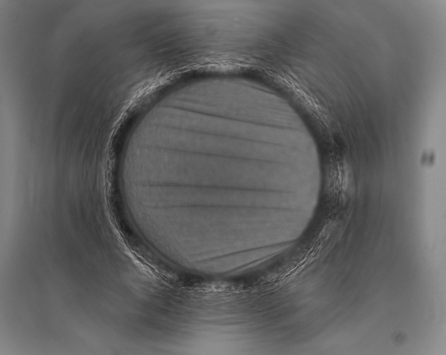 X0000094810736200712141621