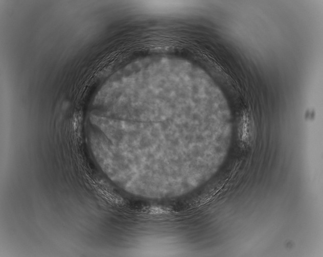 X0000094810737200712141621