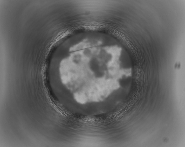 X0000094810738200712141621