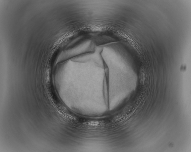 X0000094810740200712141621