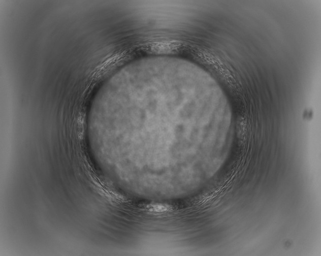 X0000094810741200712141621