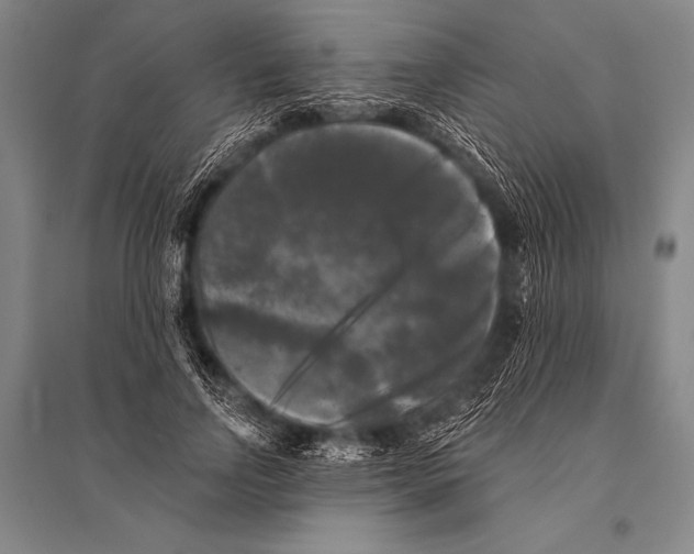 X0000094810742200712141621