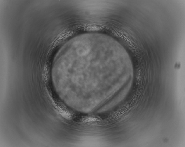 X0000094810743200712141621