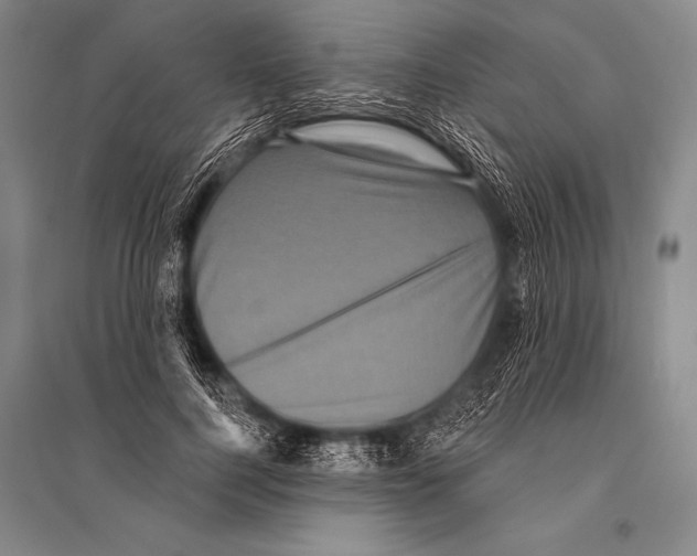 X0000094810744200712141622