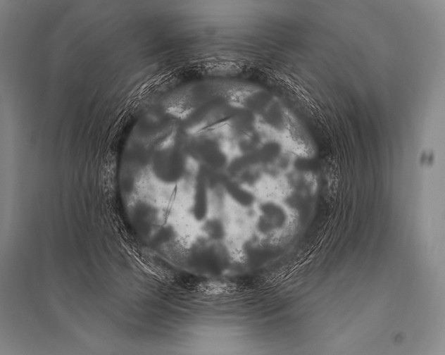 X0000094810745200712141622