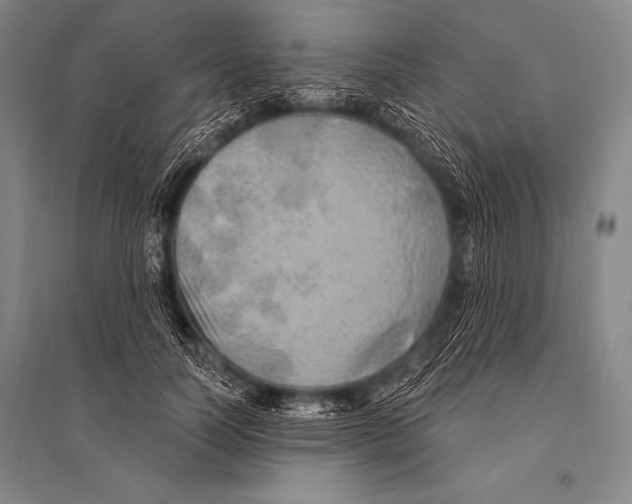 X0000094810746200712141622