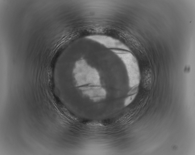 X0000094810747200712141622