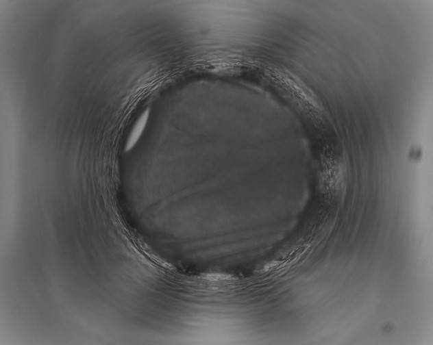 X0000094810748200712141622