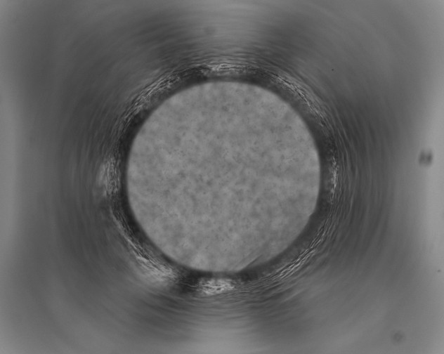 X0000094810751200712141622