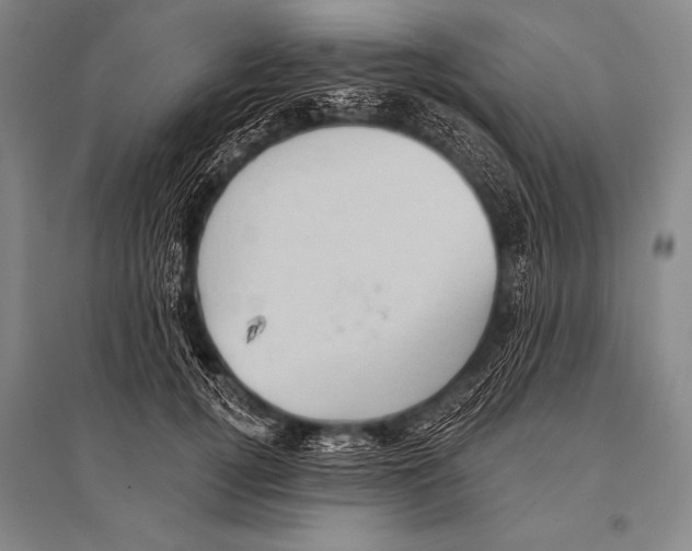 X0000094810752200712141622