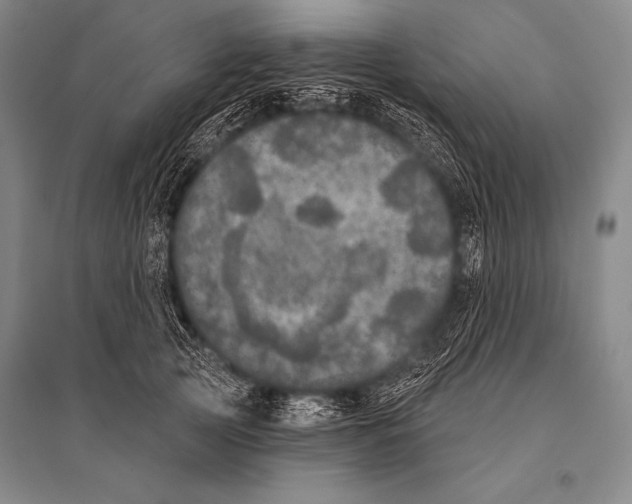 X0000094810753200712141622