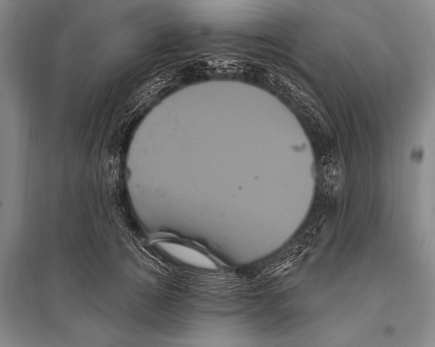 X0000094810756200712141622