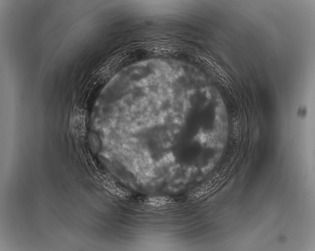 X0000094810757200712141622