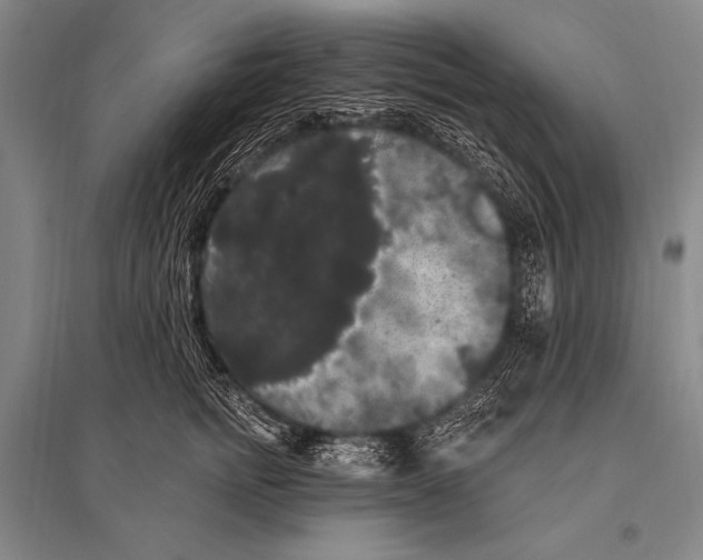 X0000094810758200712141622