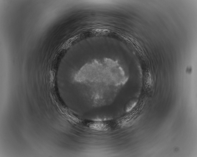 X0000094810759200712141622