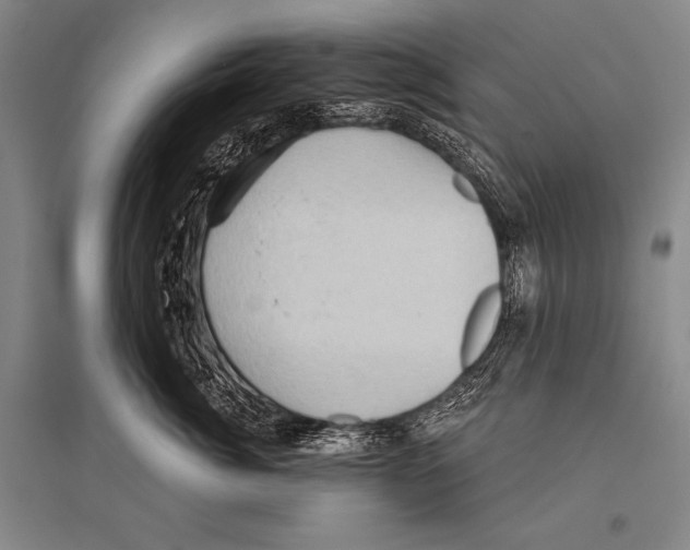 X0000094810764200712141622