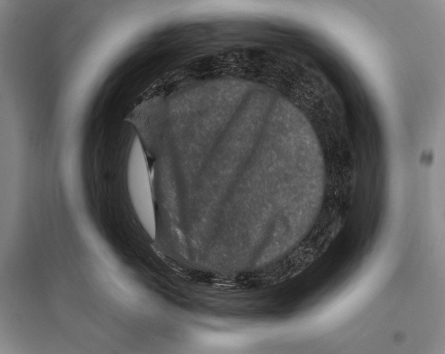 X0000094810766200712141622