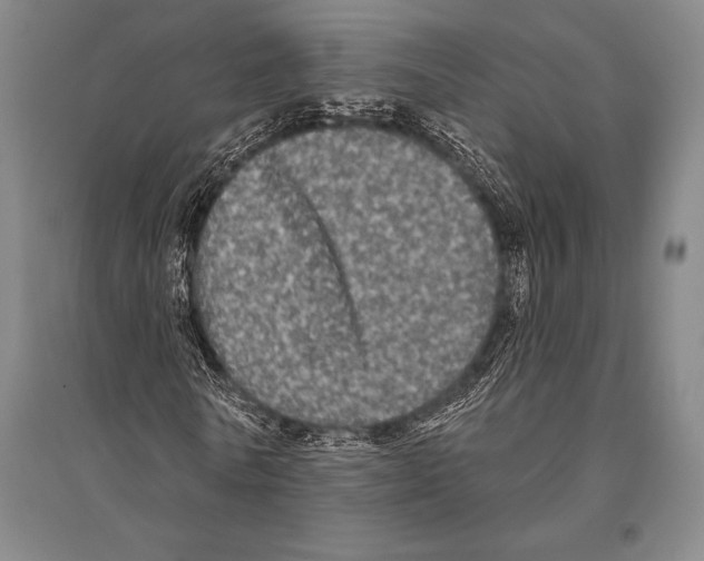 X0000094810770200712141621