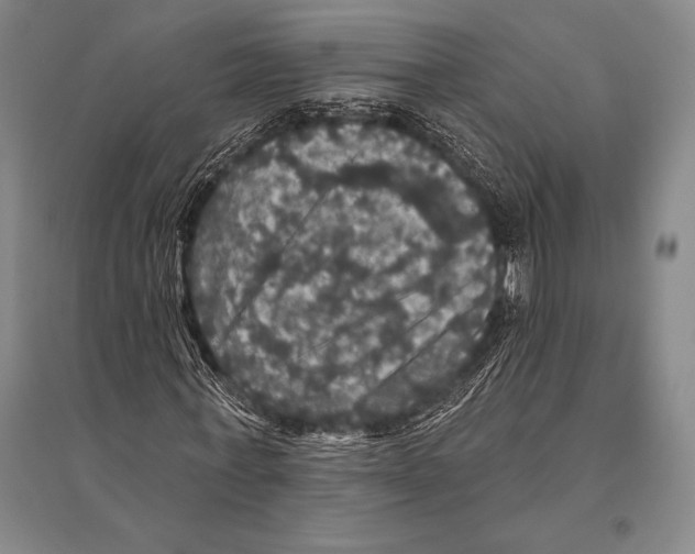 X0000094810771200712141621