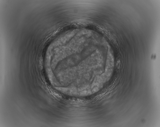 X0000094810772200712141621